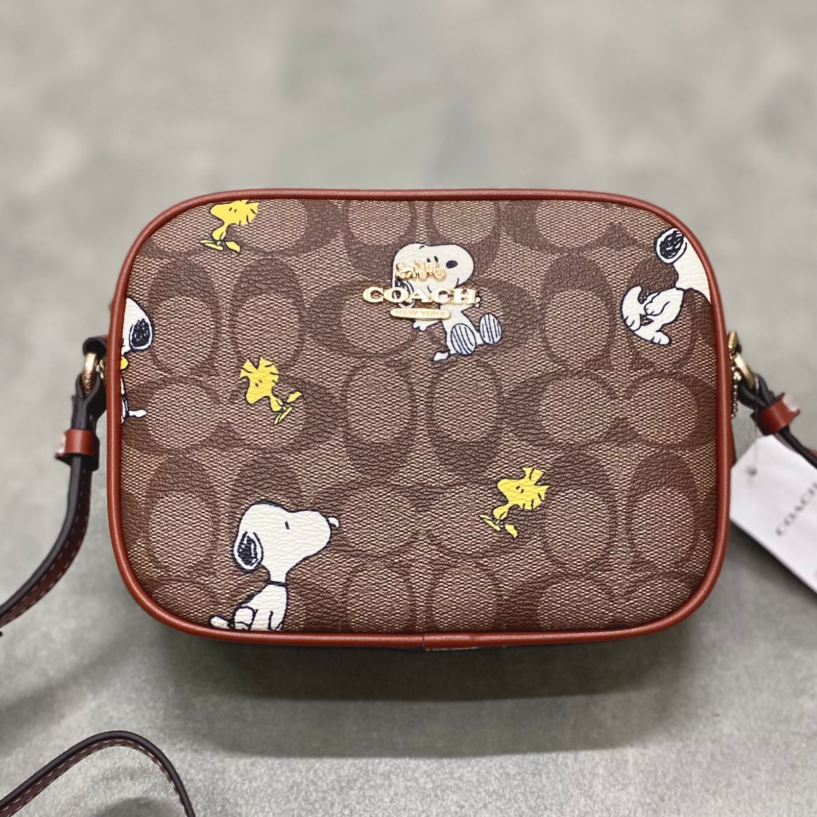 Túi Coach X Peanuts Mini Jamie Camera Bag In Signature Canvas With Snoopy Woodstock Print DS Brown